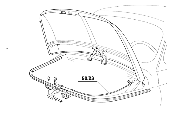 Corda apricofano anteriore