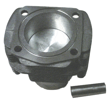 4110 Gruppo canna-pistone 500FL