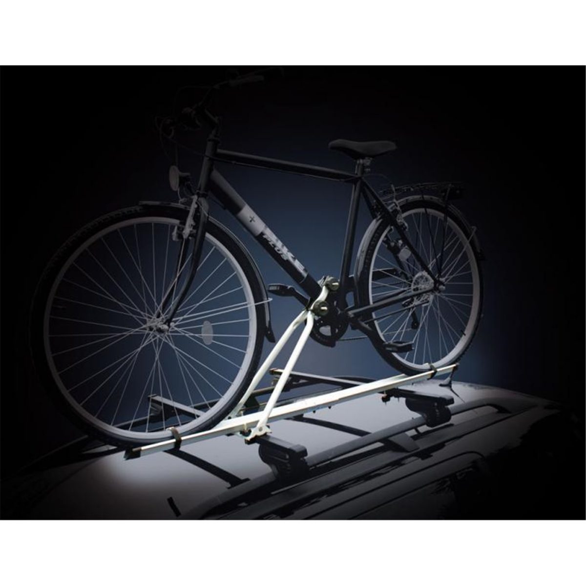 502100_01 Portabici da tetto Biker Plus