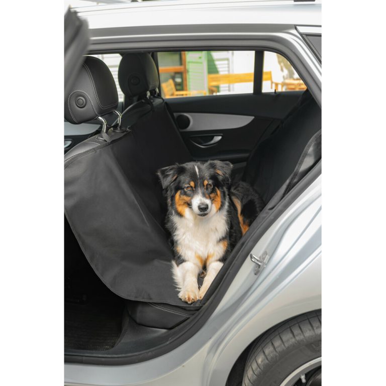 60403-A-01 Copertura protettiva posteriore - 140x150 cm