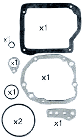 Serie guarnizioni cambio con paraolio 500FLR