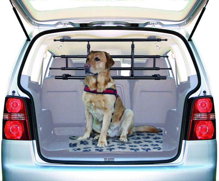 Griglia divisoria telescopica, applicazione al poggiatesta